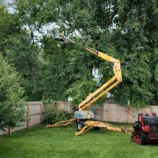 Best Pest Control for Lawns  in Medford Lakes, NJ