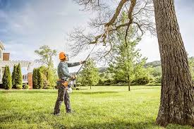 Best Commercial Tree Services  in Medford Lakes, NJ